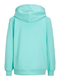 JJXX Sweat Abbie 13 JJXX Sweat Abbie -Mode Vêtements Magasin 12223961 aruba blue turquois jjxx 5