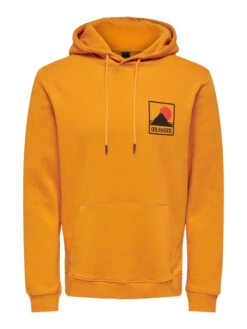 Only & Sons Onsblake Reg Hoodie Sweat Cs